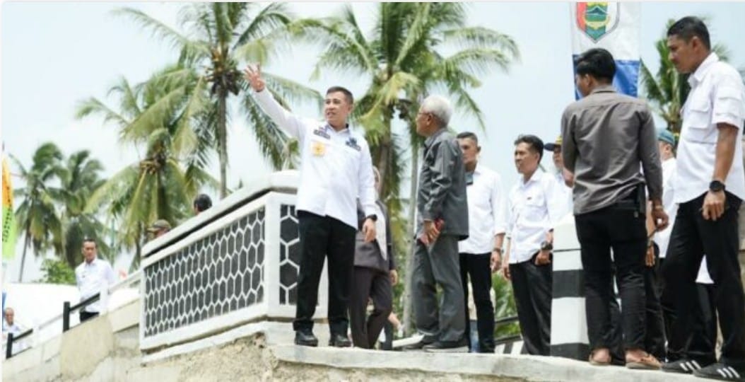 Bupati Pesawaran, Dendi Ramadhona, mengecek jembatan Way Buah penghubung antardusun di Desa Bunut Seberang, Rabu (8/11/2023). (Foto: Ist)